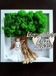 Drzewko z mchu z aniołkiem i napisem komunijnym
